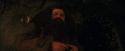 PF-Potterish_02101.jpg