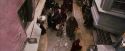 PF-Potterish_02117.jpg
