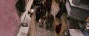 PF-Potterish_02118.jpg