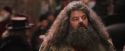 PF-Potterish_02122.jpg