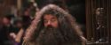 PF-Potterish_02124.jpg