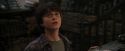 PF-Potterish_02172.jpg