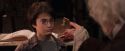 PF-Potterish_02384.jpg