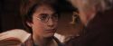 PF-Potterish_02440.jpg