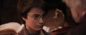 PF-Potterish_02444.jpg