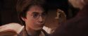 PF-Potterish_02445.jpg