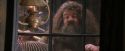 PF-Potterish_02450.jpg