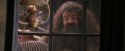 PF-Potterish_02451.jpg