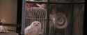 PF-Potterish_02454.jpg