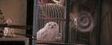 PF-Potterish_02455.jpg