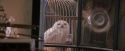 PF-Potterish_02456.jpg