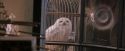 PF-Potterish_02457.jpg