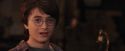 PF-Potterish_02458.jpg