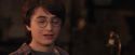 PF-Potterish_02459.jpg
