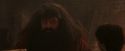 PF-Potterish_02491.jpg