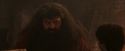 PF-Potterish_02493.jpg