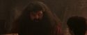 PF-Potterish_02495.jpg