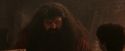 PF-Potterish_02496.jpg