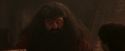 PF-Potterish_02504.jpg