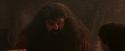 PF-Potterish_02505.jpg