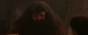 PF-Potterish_02509.jpg