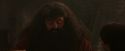 PF-Potterish_02511.jpg