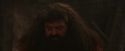 PF-Potterish_02517.jpg