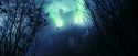 PF-Potterish_02568.jpg