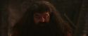 PF-Potterish_02591.jpg