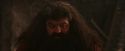 PF-Potterish_02592.jpg