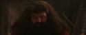 PF-Potterish_02593.jpg