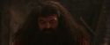 PF-Potterish_02594.jpg