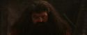 PF-Potterish_02597.jpg