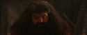 PF-Potterish_02598.jpg