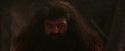 PF-Potterish_02599.jpg