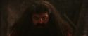 PF-Potterish_02600.jpg