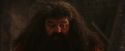 PF-Potterish_02609.jpg