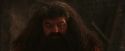 PF-Potterish_02610.jpg