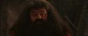PF-Potterish_02611.jpg