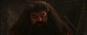 PF-Potterish_02612.jpg