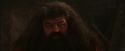 PF-Potterish_02613.jpg