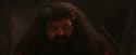 PF-Potterish_02614.jpg