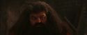 PF-Potterish_02615.jpg