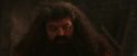 PF-Potterish_02616.jpg