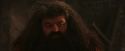 PF-Potterish_02617.jpg