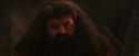 PF-Potterish_02618.jpg