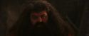 PF-Potterish_02619.jpg