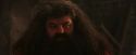 PF-Potterish_02620.jpg