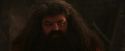 PF-Potterish_02621.jpg