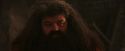 PF-Potterish_02622.jpg